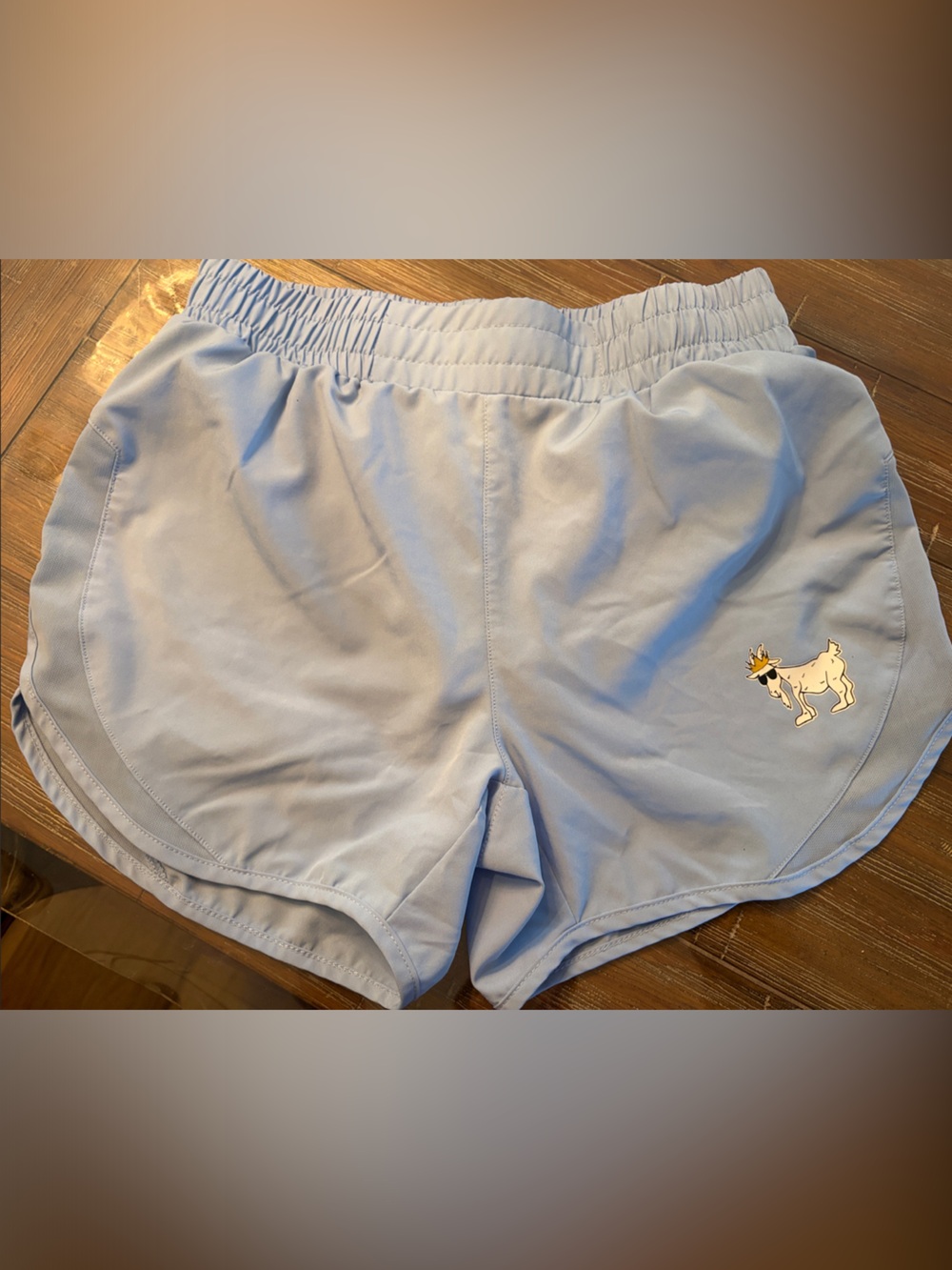 Light Blue Kids' Athletic Shorts with Playful Dog Patch